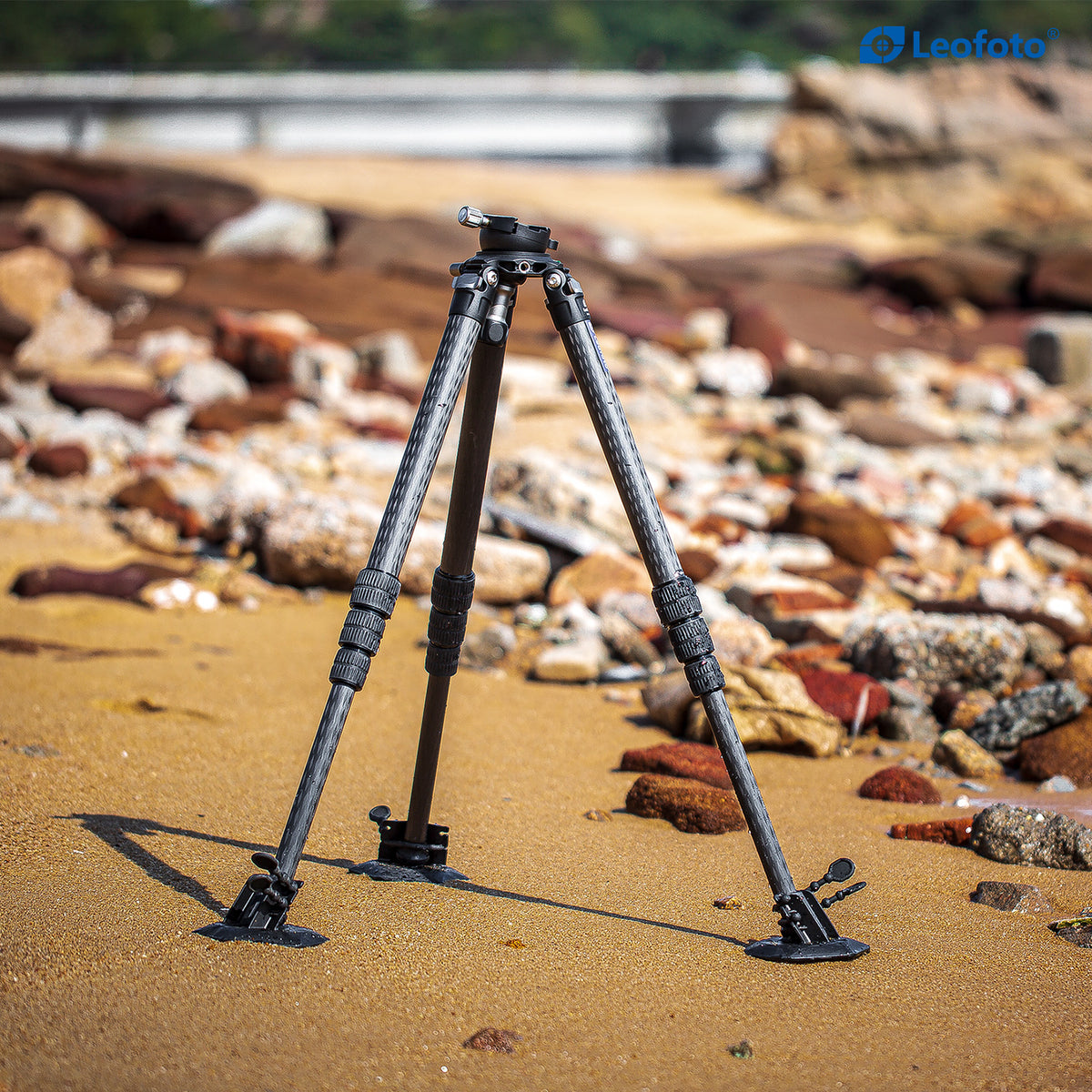 Leofoto TFW-2 Tripod Snow Shoe