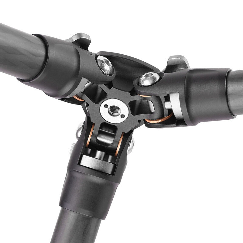 LS223CLH25 Leofoto LS-223C Carbon Tripod + LH-25