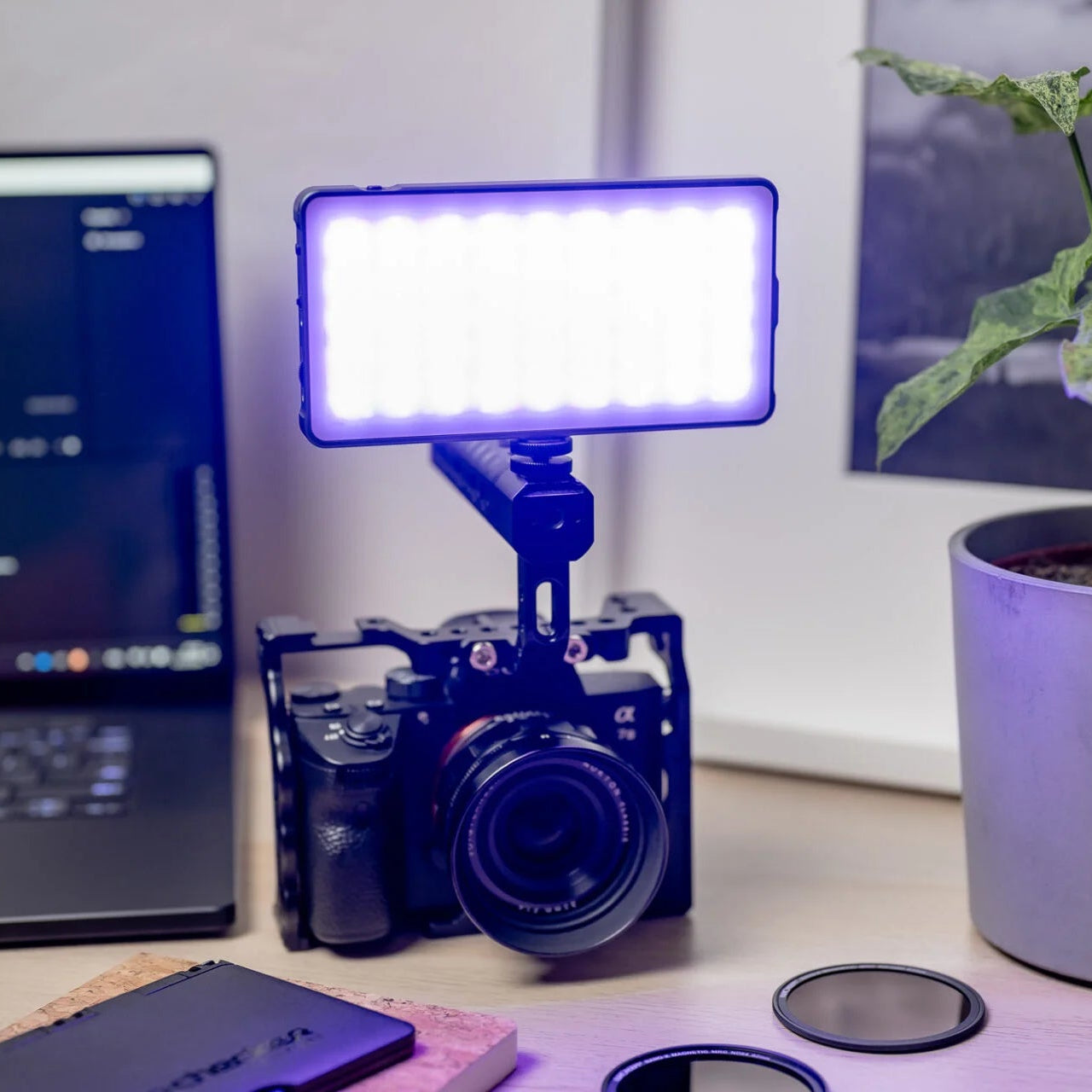 Newell RGB-W Rangha LED Lamp