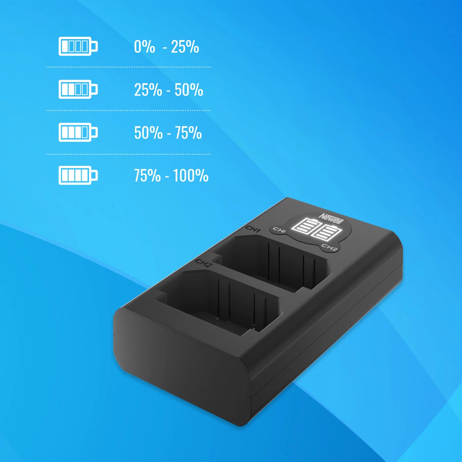 Newell DL-USB-C dual channel charger for LP-E17