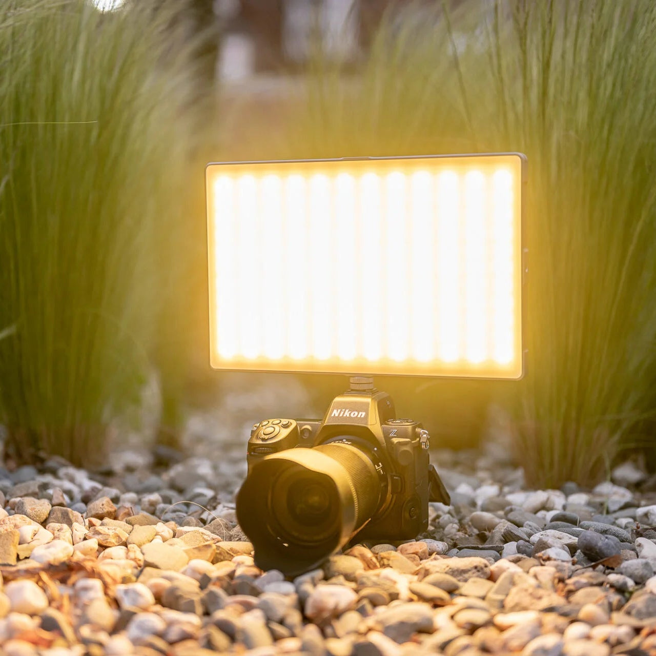 Newell RGB-W Rangha Max XL LED lamp